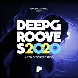 Various Artists - Deep Grooves 2020