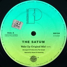 The Satum - Wake Up