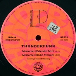 Thunderfunk - Memoreez