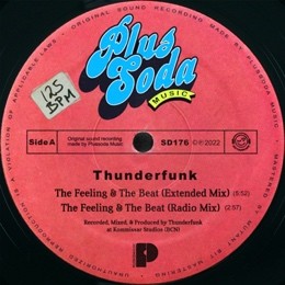 Thunderfunk - The Feeling & The Beat
